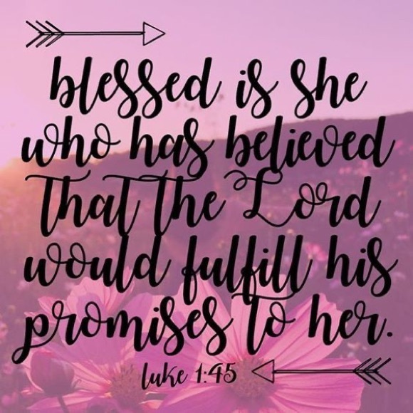 Meet your Posher, Pepper …and my three precious fur babies, Koa, Zeke & Otis! ♥️ - Picture 4 of 4